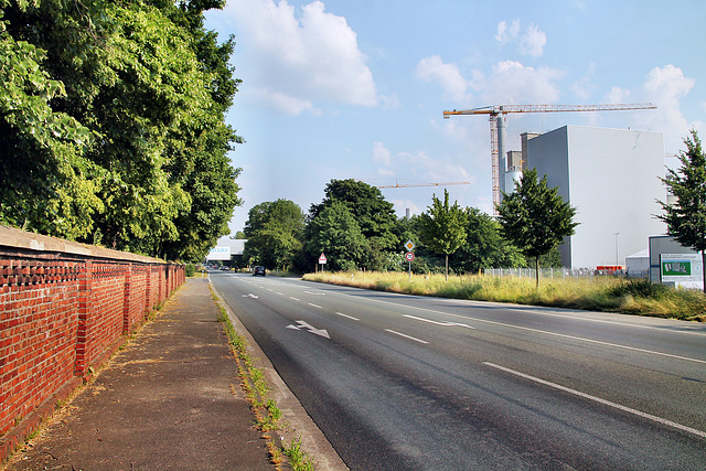 Xantener Straße (Rheinberg-Ossenberg) / 8.06.2023