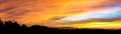 Lively Sunset panorama