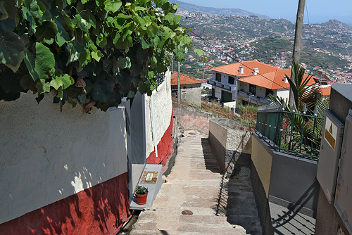 Câmara de Lobos - Caminho Velho do Rancho (3)