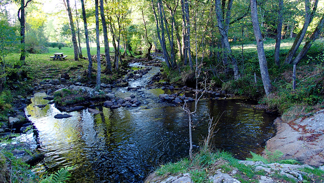 Une balade d'automne.