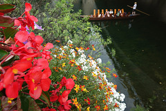 Neckarbukeh Neckarbukeh