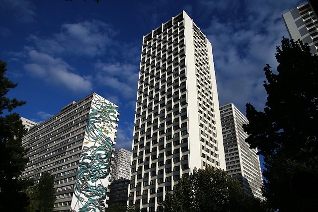 Le quartier chinois , dans le 13 e arrondissement de Paris