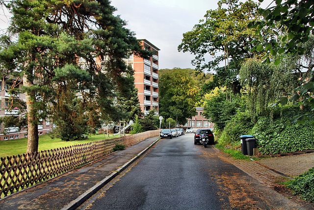 Waldweg (Witten-Buchholz) / 13.07.2023