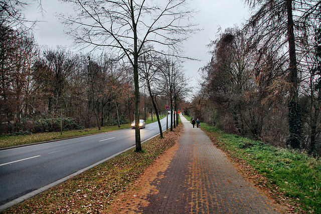 Ostwennemarstraße (Hamm-Werries) / 16.12.2023