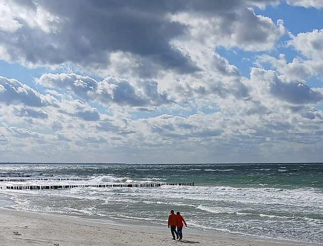 Nordseefeeling auf dem Darss