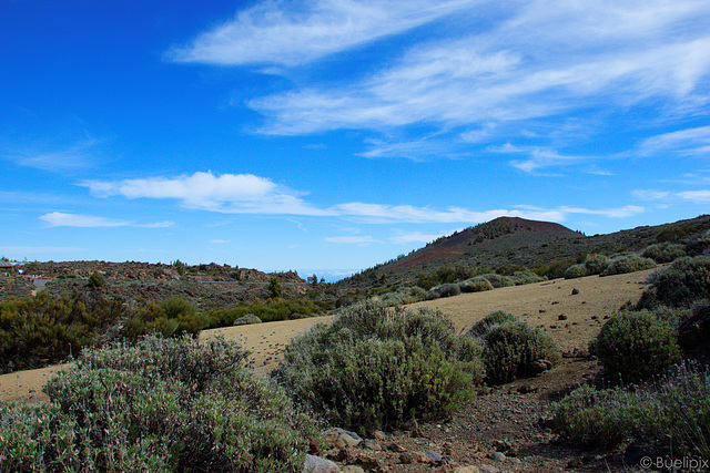 bei El Portillo - im Wandergebiet Siete Cañadas im Teide-Nationalpark (© Buelipix)