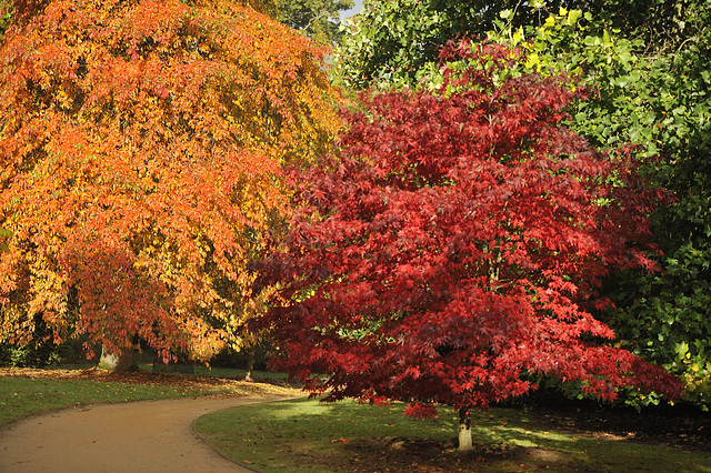 A reminder of Autumn