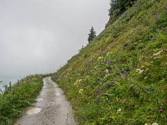 Kops-Stausee weitgehend unsichtbar