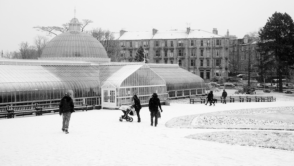 Kibble Palace, Botanic Gardens in the Snow