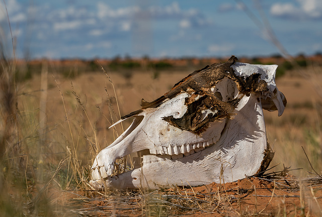 Namibia