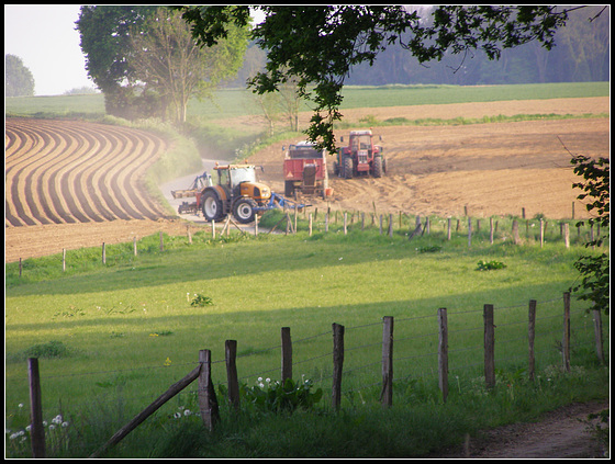 Argument  of the Tractors