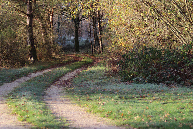 peti sentier sympa