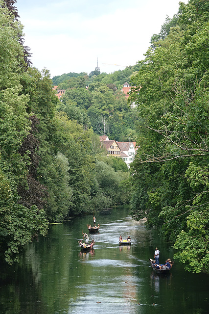 Neckarschifffahrt