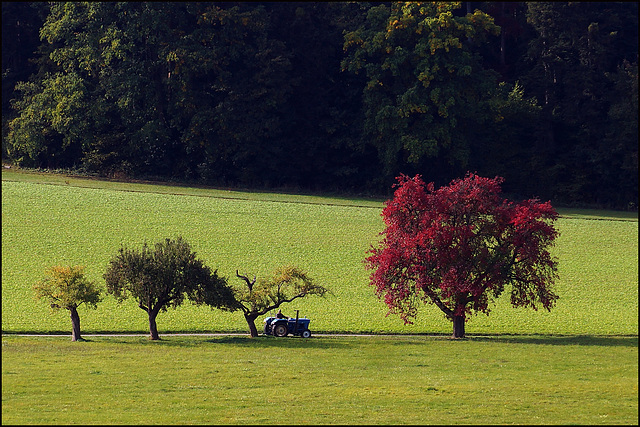 Herbstpartie