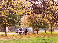 Nel parco tra i colori dell'autunno