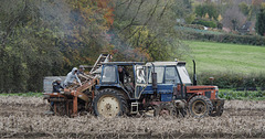 Harvest