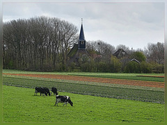 Eenigenburg