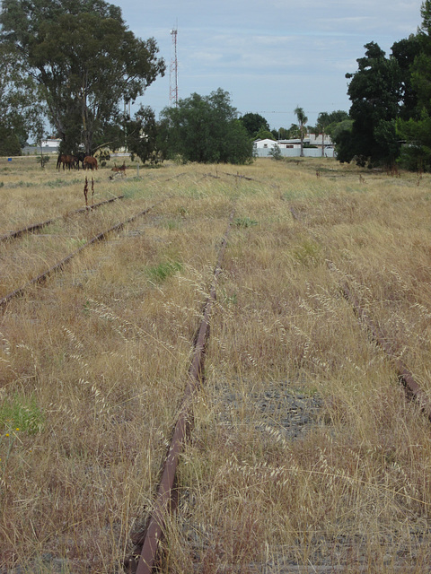 Jerilderie 0117 2127