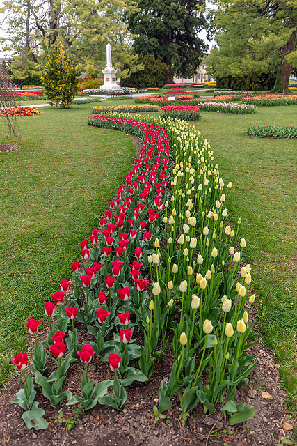 190425 Morges tulipes 2