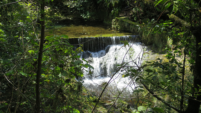 Levada do Furado - Ribeiro Frio - Portela