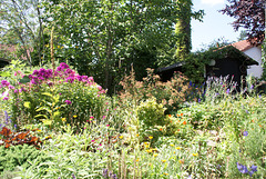 Blumenwildnis