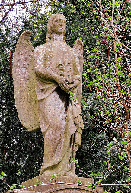 abney park cemetery, london,c19 angel