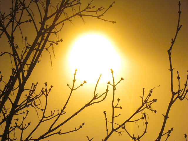 Que le soleil brille pour vous tous !