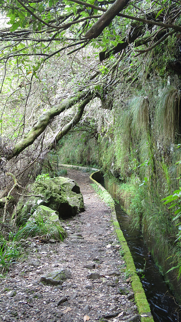 Levada do Furado - Ribeiro Frio - Portela