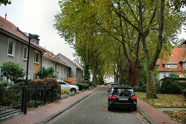Batenbrocker Straße (Siedlung Mathias Stinnes, Essen-Karnap) / 20.10.2021