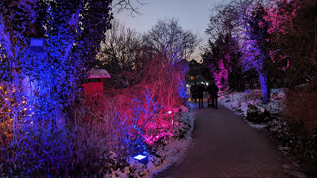 Christmas Garden Hamburg