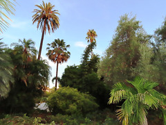 Valencia: Jardín botánico, 45