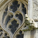 beverley minster, yorks