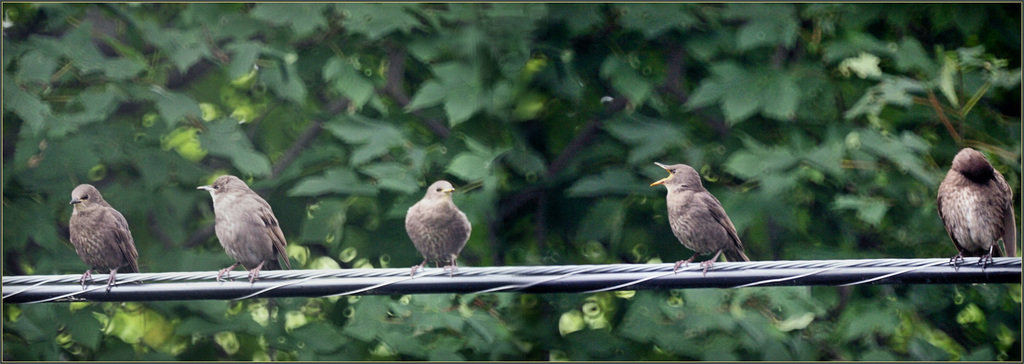 After eating, a rest