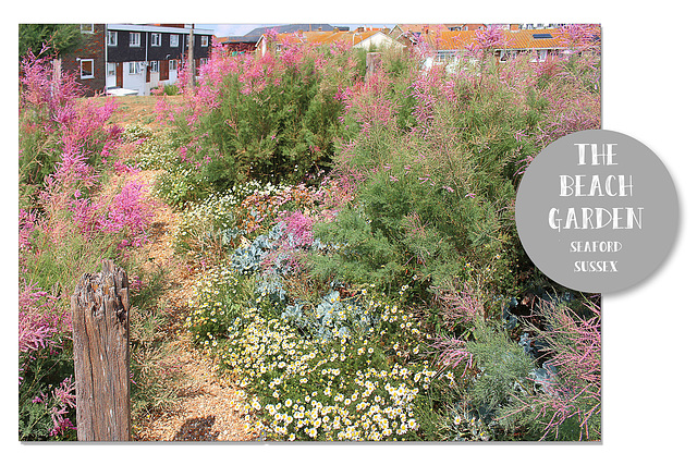 The Beach Garden - Seaford - East Sussex - 24.7.2018