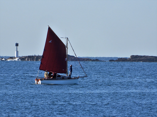 un matin sur la mer