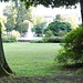 Bäume und Wasser im Stadtpark