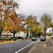 Wittener Straße (Witten-Herbede) / 6.11.2021