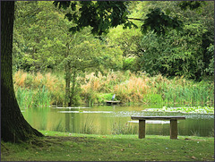 A 'Happy bench Monday' ....