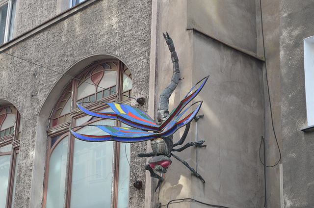 Wroclaw, Great Dragonfly