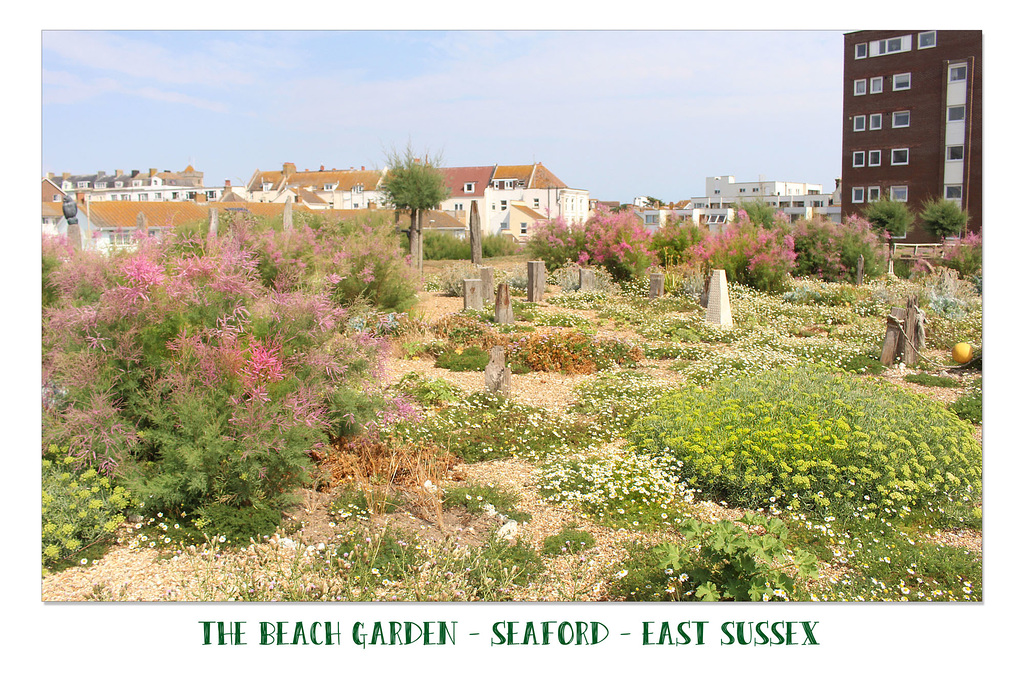 The Beach Garden  - Seaford - East Sussex - 24.7.2018