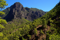 Punta de Los Roques