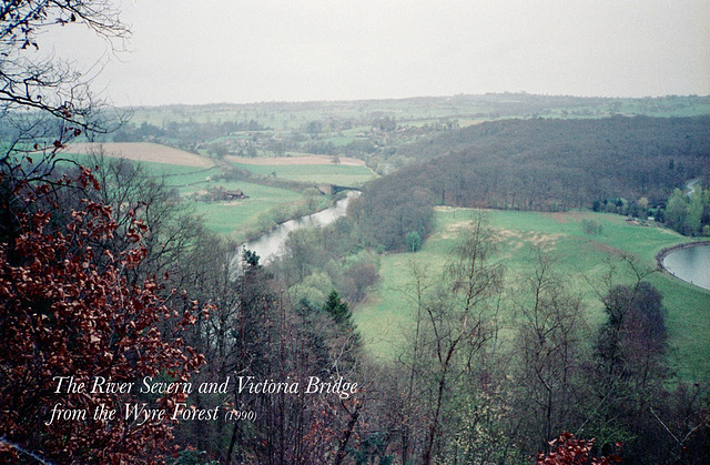 The River Severn and Victoria Bridge from the Wyre Forest (Scan from 1992)