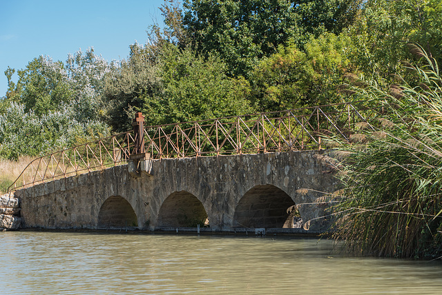 HFF du 16 octobre . Canal du Midi Capestang Fr 34