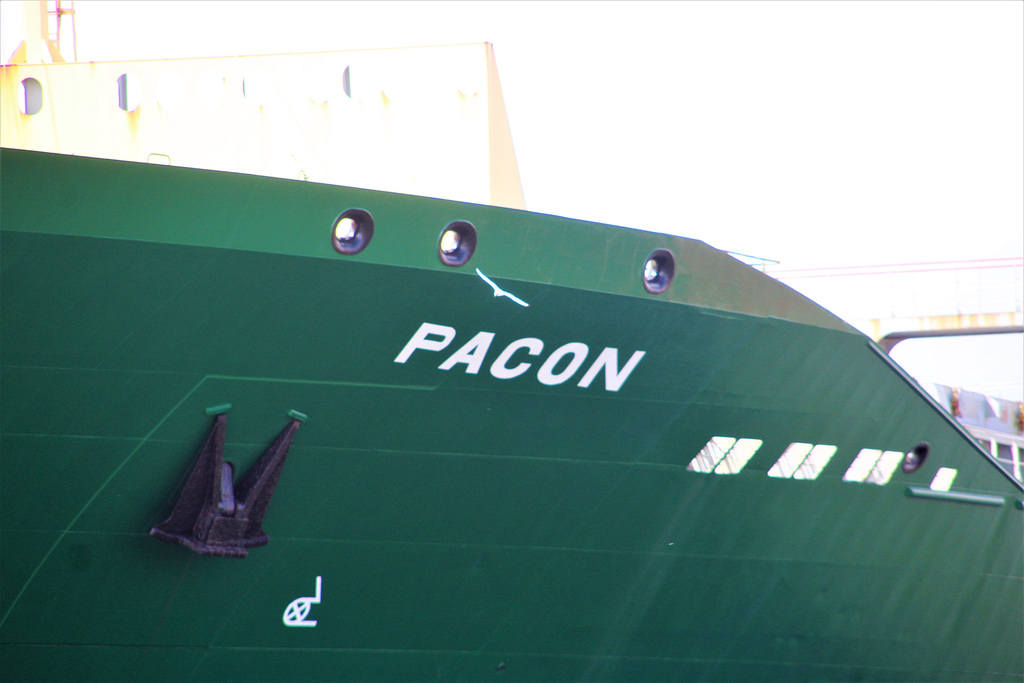PACON  Teilansicht  Bug