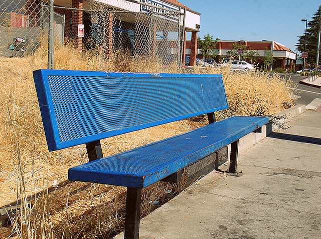 Blue Bench