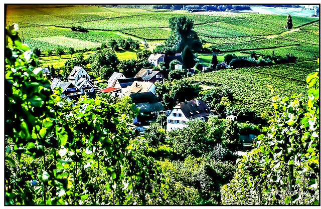 Dorf im Rebberg