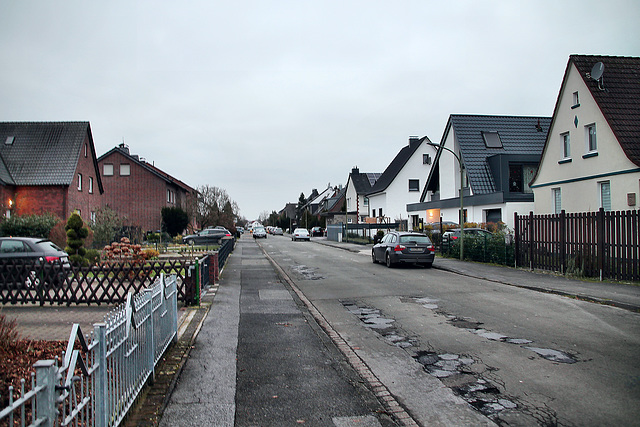 Julienweg (Hamm-Werries) / 16.12.2023