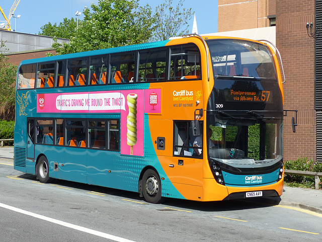 Cardiff Bus/Bws Caerdydd (2) - 3 June 2016