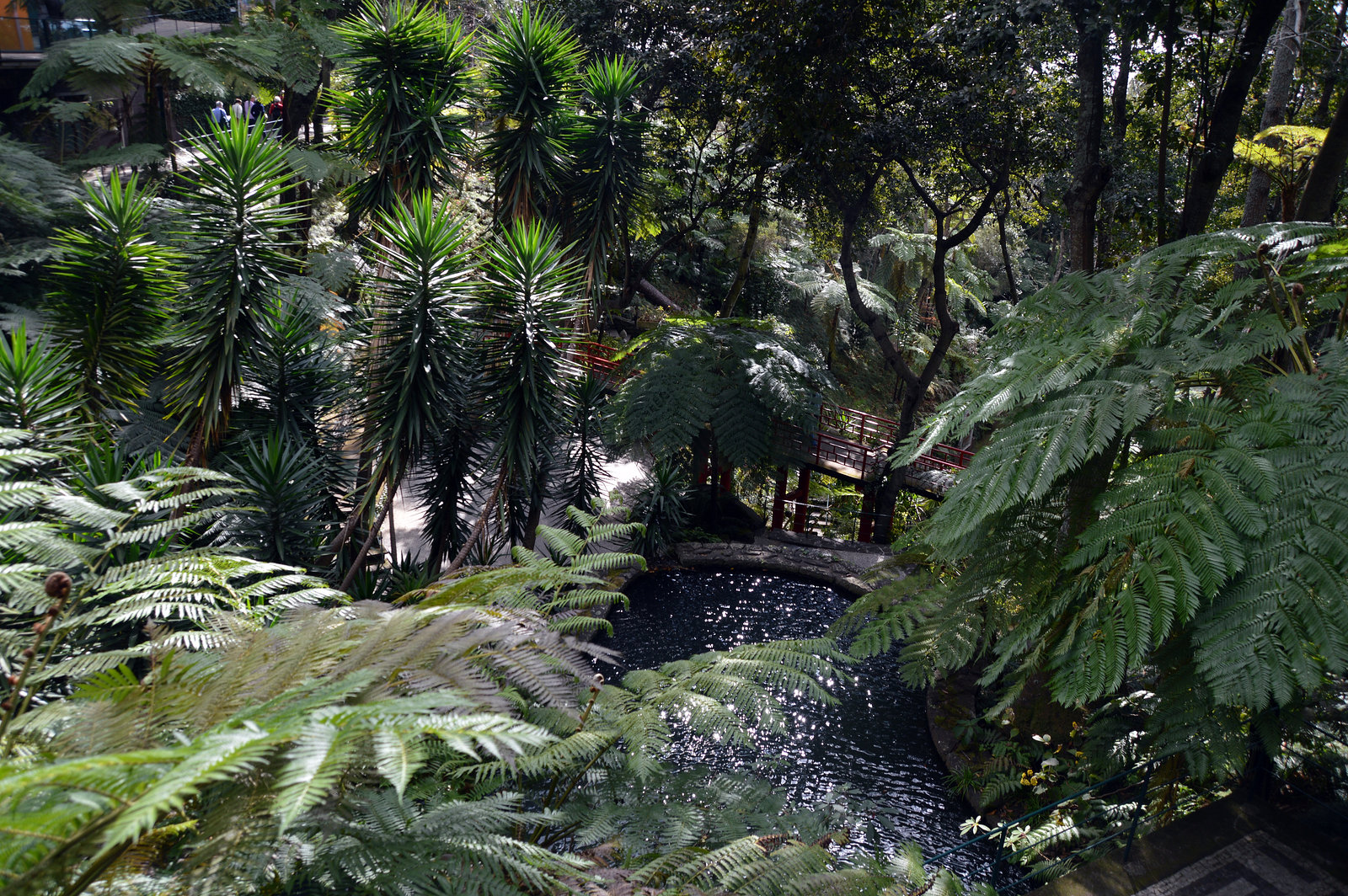 Oasenplatz im Tropengarten Monte auf Madeira