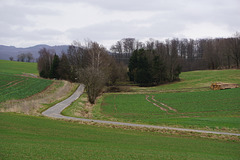 Runigerode